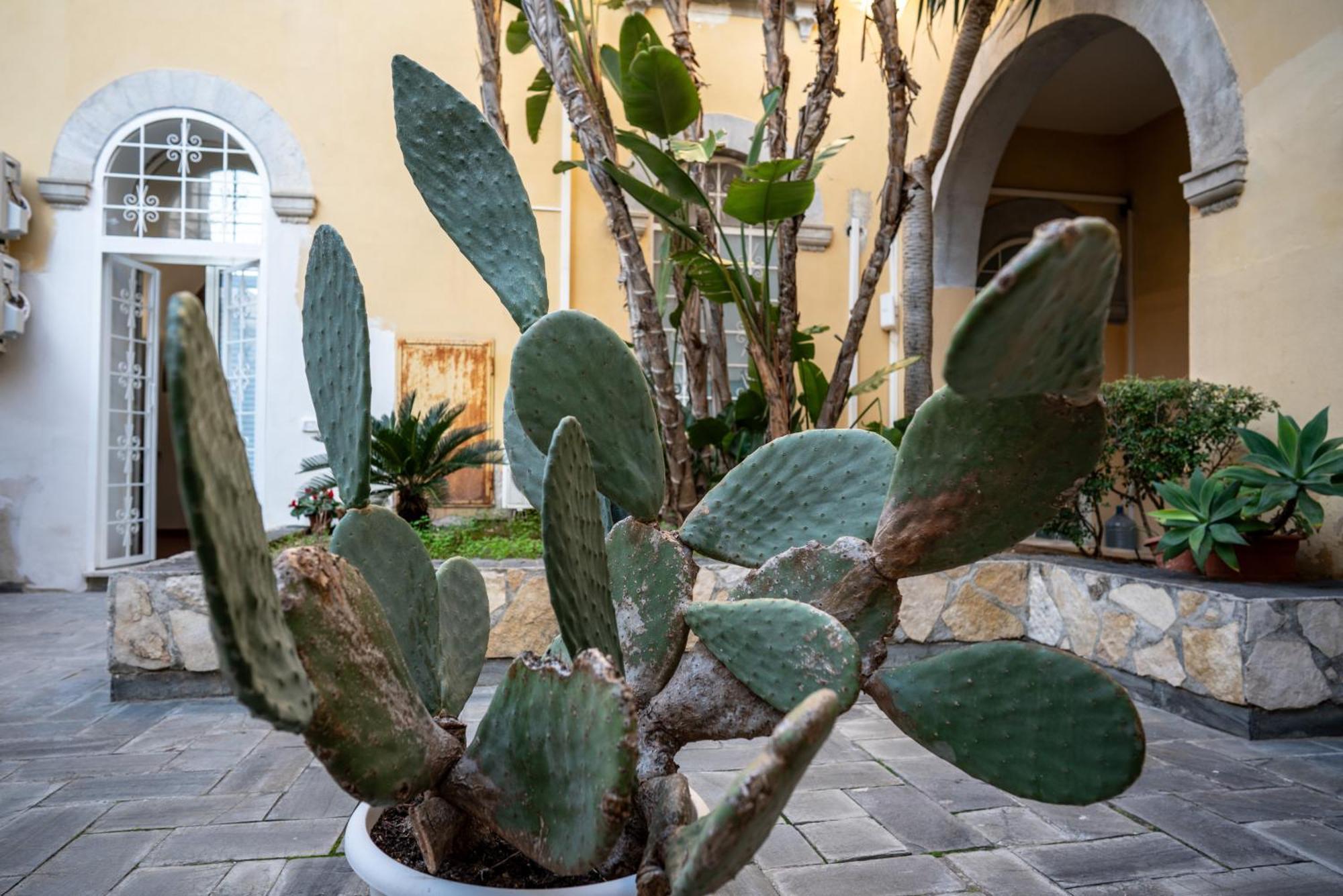 Villa Casa Orchidea D'Oro Syrakus Exterior foto